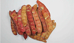 tara powder tara powder